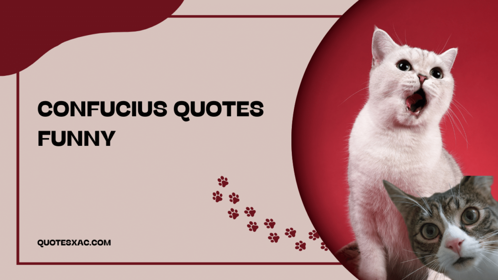 confucius quotes funny